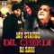 Dil Cherdi - Jay Status & DJ Sanj lyrics