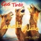 Arab Dildo - Gus Tinto lyrics