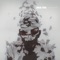 Victimized - LINKIN PARK lyrics