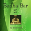 Budha-Bar 5 (Music For Relaxation And Meditation) - Fujiyama