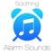 Don't Wake the Baby Alarm Sound - Steven Cravis lyrics