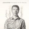 Josh Ritter