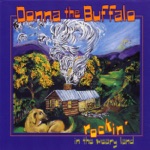 Donna the Buffalo - All the Time