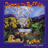 Donna The Buffalo - Mr. King