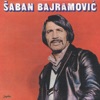 Saban Bajramovic