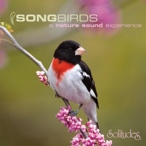 Songbirds