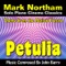 Petulia - Theme for Solo Piano - Mark Northam lyrics