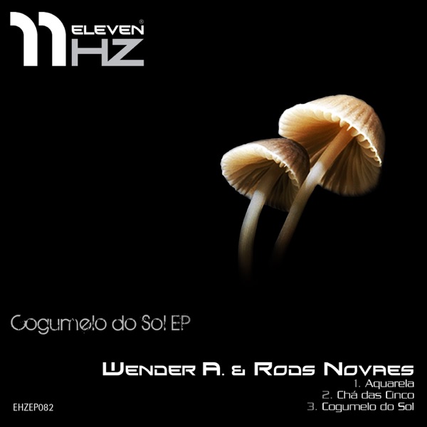 Cogumelo do Sol - Single