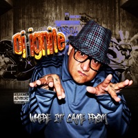 Where It Came From - DJ Ignite