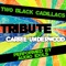 Two Black Cadillacs - Audio Idols lyrics