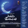 Nabi Nabi