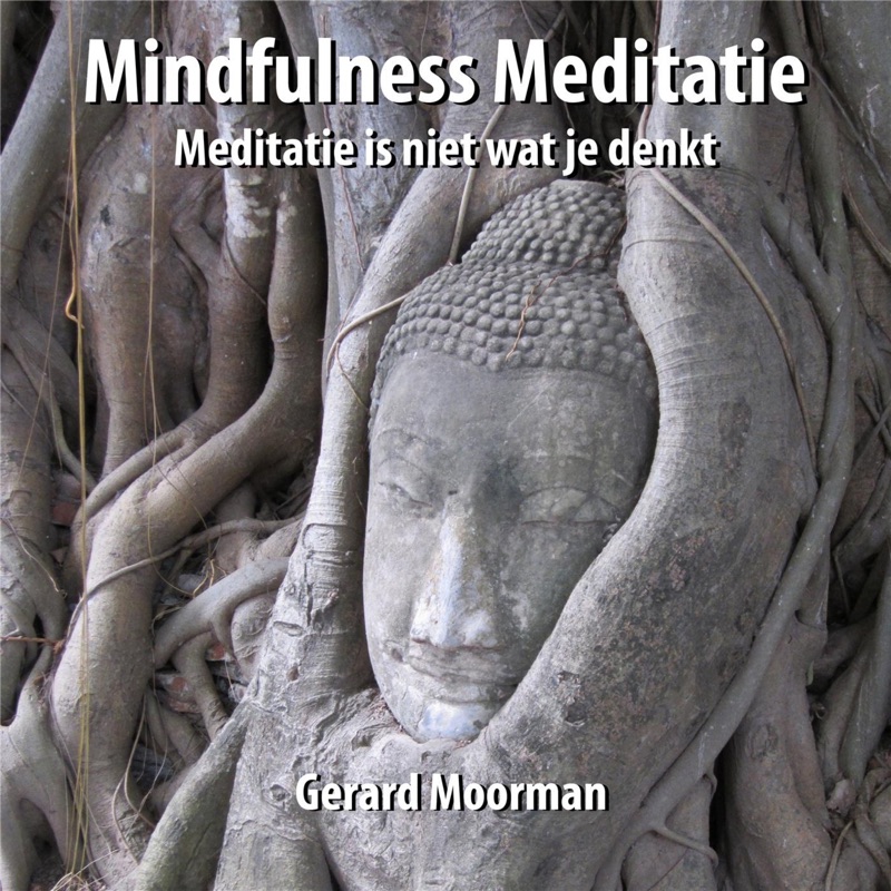 Mindfulness Meditatie