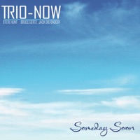 Someday Soon (feat. Steve Hunt, Bruce Gertz & Jack Diefendorf) - Trio-Now