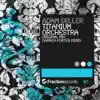 Titanium Orchestra (Darren Porter Remix)