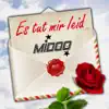 Es tut mir leid (Discofox Remix)