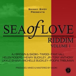 Sadiki - Party Tun Up