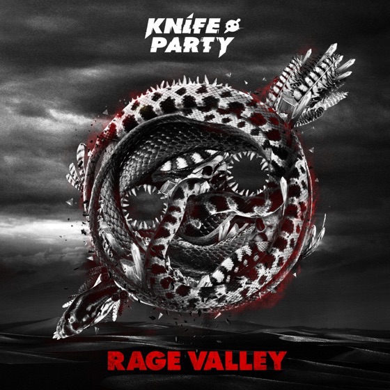 Cover artwork for Bonfire