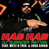 Has Has (feat. Metz N Trix & Joga Singh) - DJ Surinder Rattan