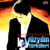 Yüzyılın Türküleri artwork