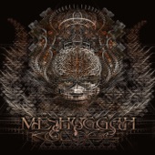 Marrow by Meshuggah