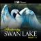 Swan Lake, Op. 20: V. Pas de deux: Tempo di valse artwork