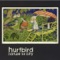 Nolan - Hurtbird lyrics