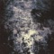 Cower - A Crown of Amaranth lyrics