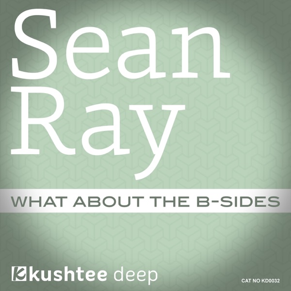 What About the B-Sides - Single