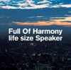 Full Of Harmony(F.O.H)