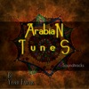 Yasser Farouk - Sad Nay