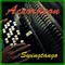 Accordeon - Swingtango lyrics