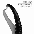 JOY FORMIDABLE, THE