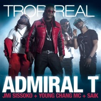 Trop Real (feat. Jmi Sissoko, Young Chang Mc & Saïk) - Single - Admiral T