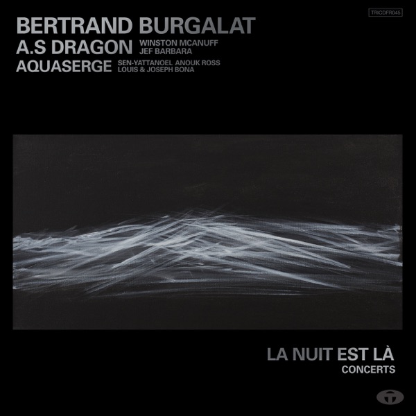 La nuit est là - Concerts - Bertrand Burgalat