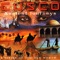 The Journeys of Marco Polo - Cusco lyrics