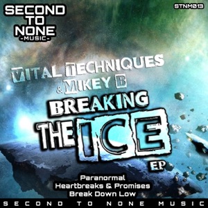 Breaking the Ice - Single