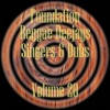 Foundation Reggae Deejays Singers & Dubs, Vol. 20