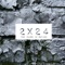 Drowning My Sorrow (Cozzy D Remix) - Dzeta n' Basile lyrics