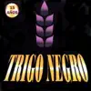 Trigo Negro - Paloma Errante
