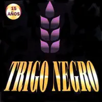 Paloma Errante — Trigo Negro