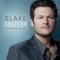 Honey Bee - Blake Shelton lyrics