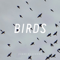 Birds - Single - Bobby Nourmand