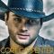 I'll Drink to That - Cort Carpenter lyrics