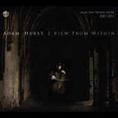 View from Within artwork