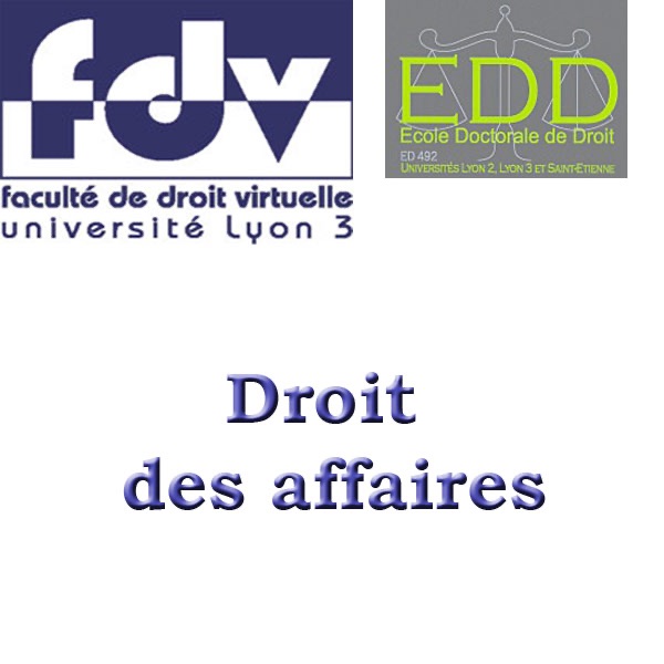 Droit des affaires cover