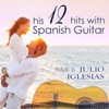 Tribute to Julio Iglesias, His 12 Hits with Spanish Guitar