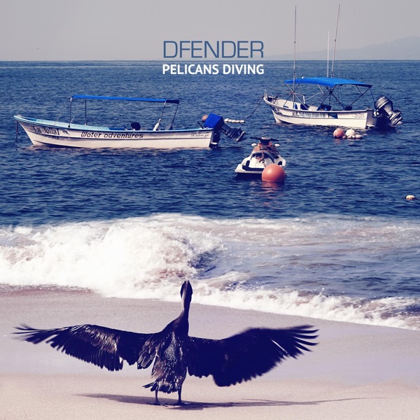 Pelicans Diving - Single