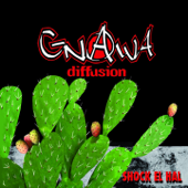 Shock el hal - Gnawa Diffusion