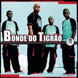 Bonde do Tigrão - O Baile Todo