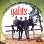 The Gants - I Wonder